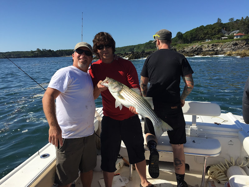 Casco Bay Adventures - Sightseeing tour agency in South Portland