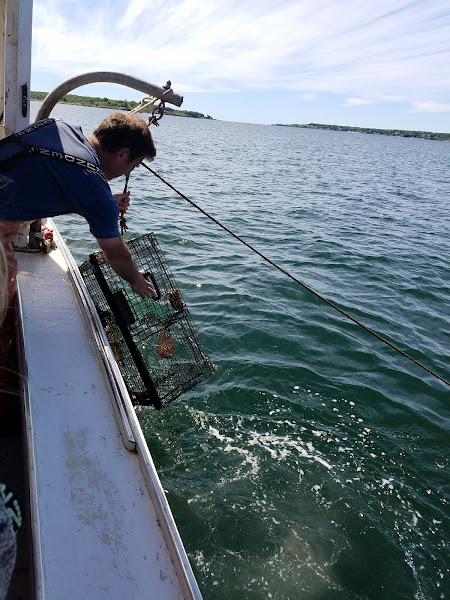 Lucky Catch Cruises - Boat tour agency in Portland