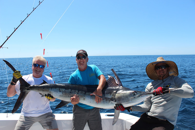 Armada Sport Fishing & Private Fishing Charters Cabo - Fishing charter in Agua Marina Centro