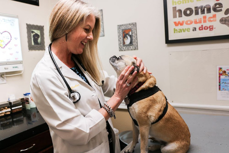 Parker Animal Care