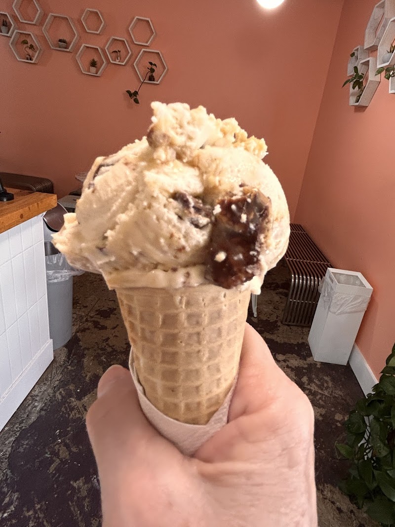 Lucy Boone Ice Cream photo