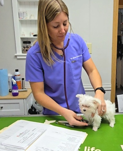 Versailles Veterinary Clinic