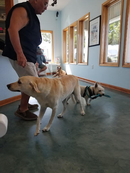 Outer Banks Veterinary Hospital