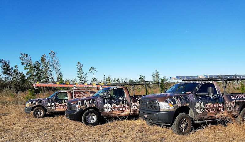 Coastal Wildlife Removal