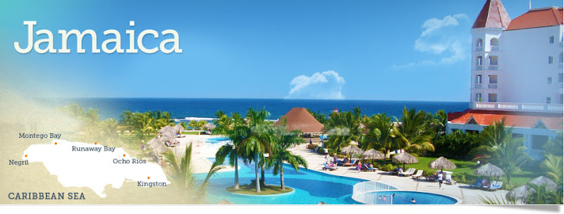 Morgan The 876Realtor - Real estate consultant in Montego Bay