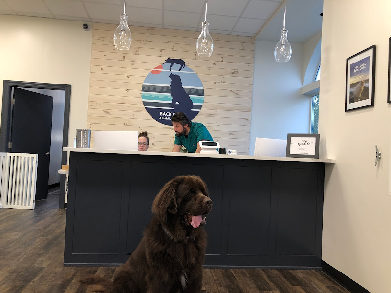 Back Cove Animal Hospital