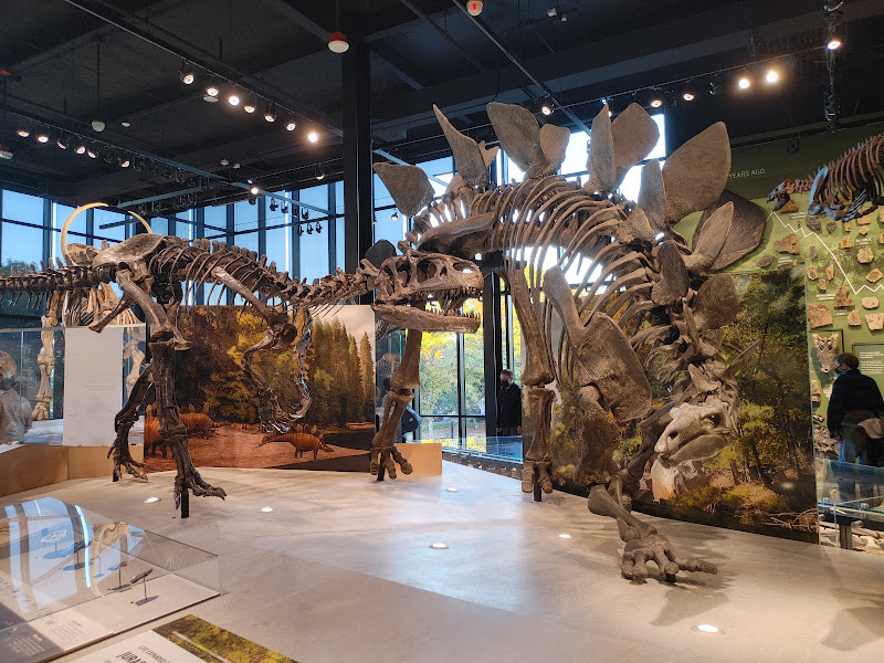 Burke Museum of Natural History and Culture