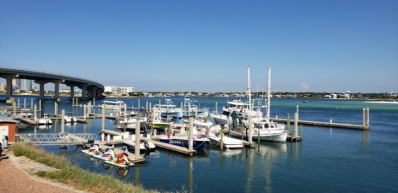 Caribe Marina - Marina in Orange Beach