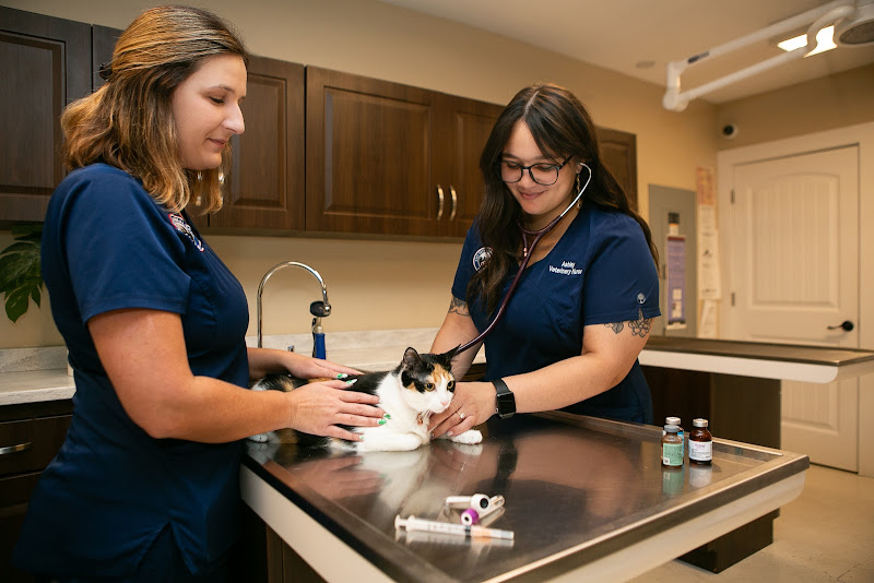 City Pets Animal Care