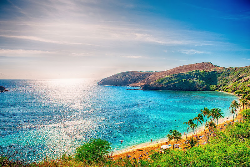 Proinsurance Hawaii - Health insurance agency in Honolulu