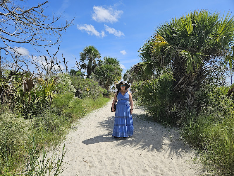 Jekyll Island Beach Rentals - Real estate rental agency in Atlanta