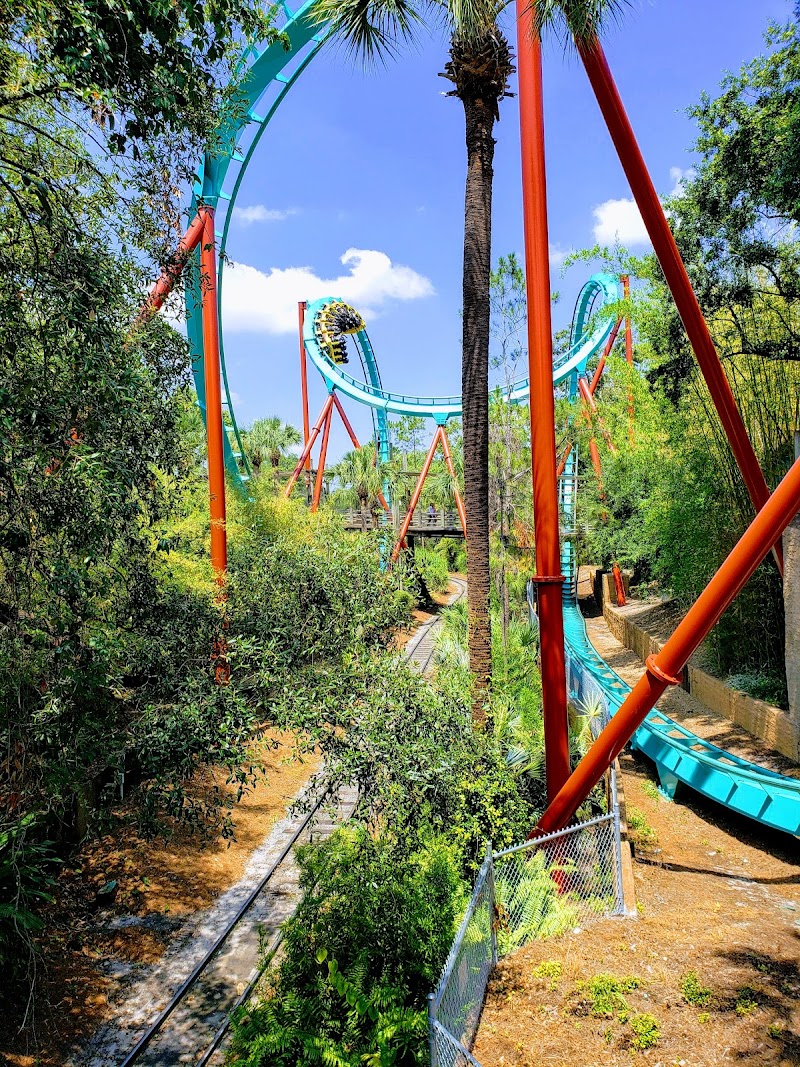 Kumba photo