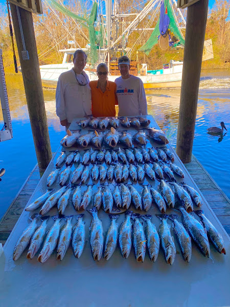 SaltWater Therapy Charters