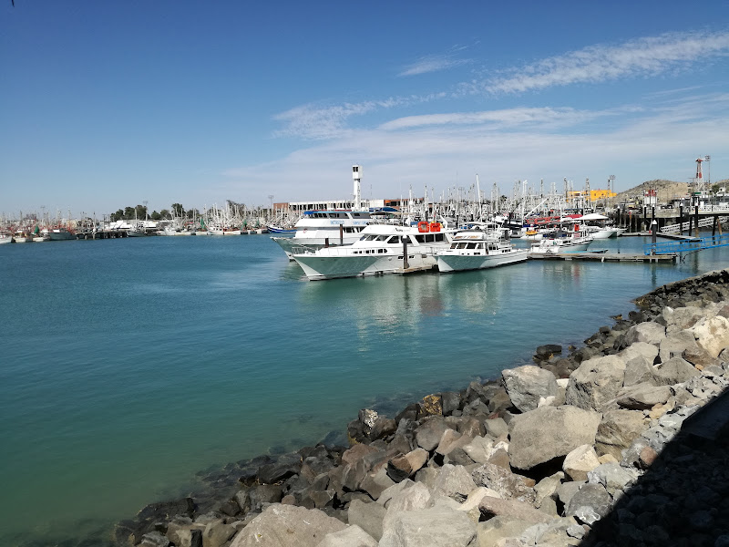 Del Mar Charters - Boat tour agency in 83550 Puerto Peñasco