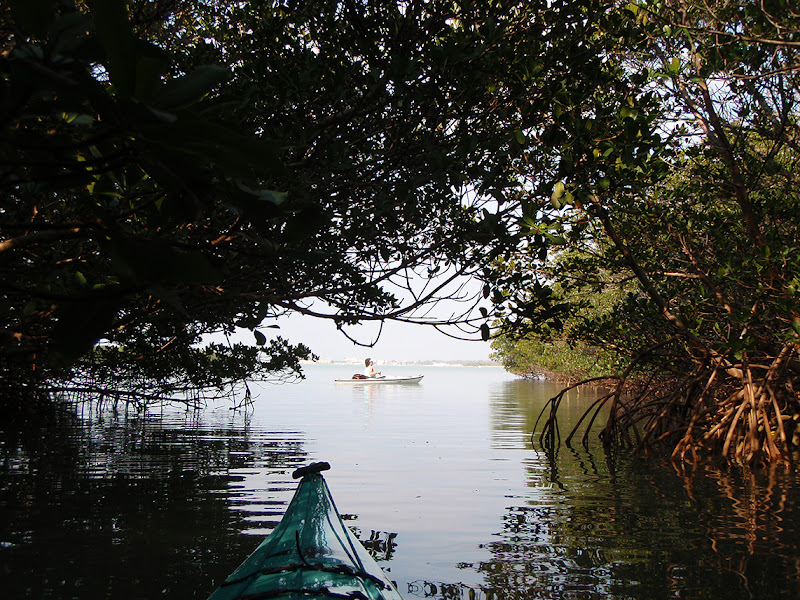 The Kayak Experience - Canoe & kayak store in Santa Rosa Beach
