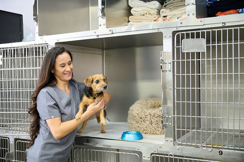Kakaako Pet Hospital - Animal hospital in Honolulu