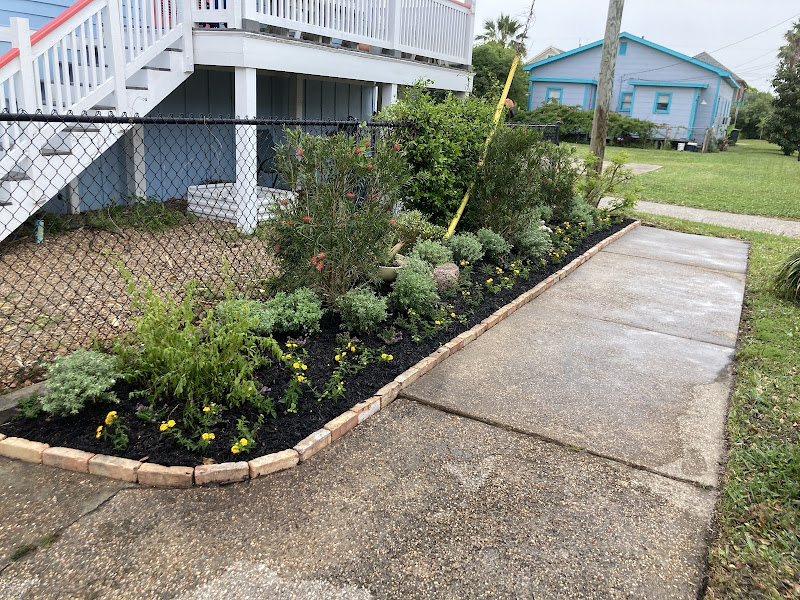 Hummingbird Landscapes