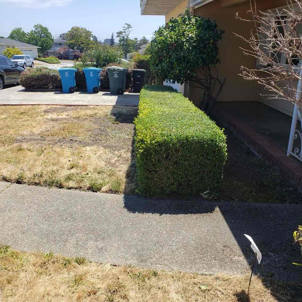 LawnStarter Landscaping