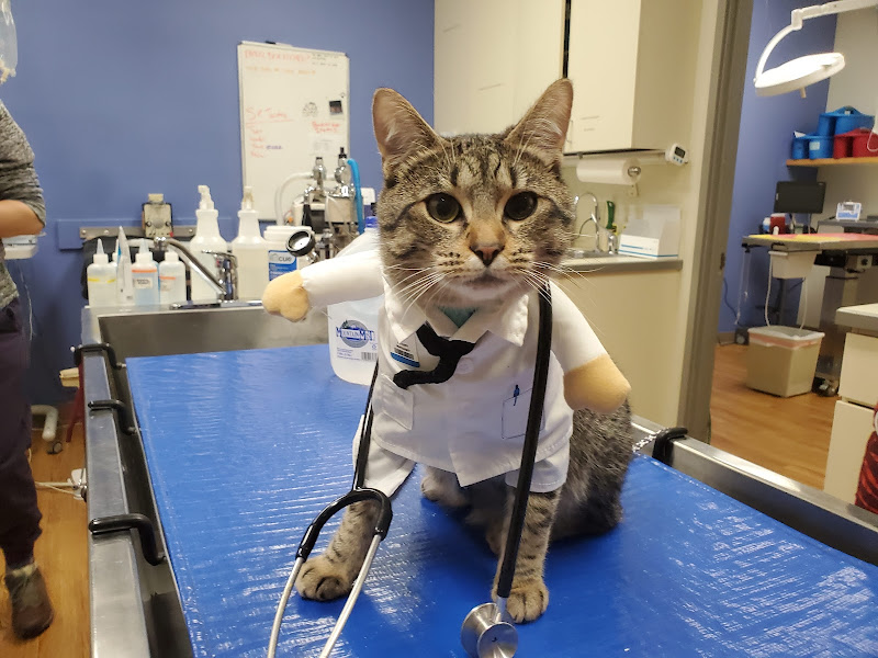 Eastlake Veterinary Hospital