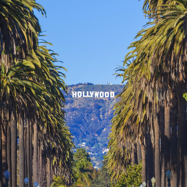 Hollywood City Tours - Tour operator in Los Angeles