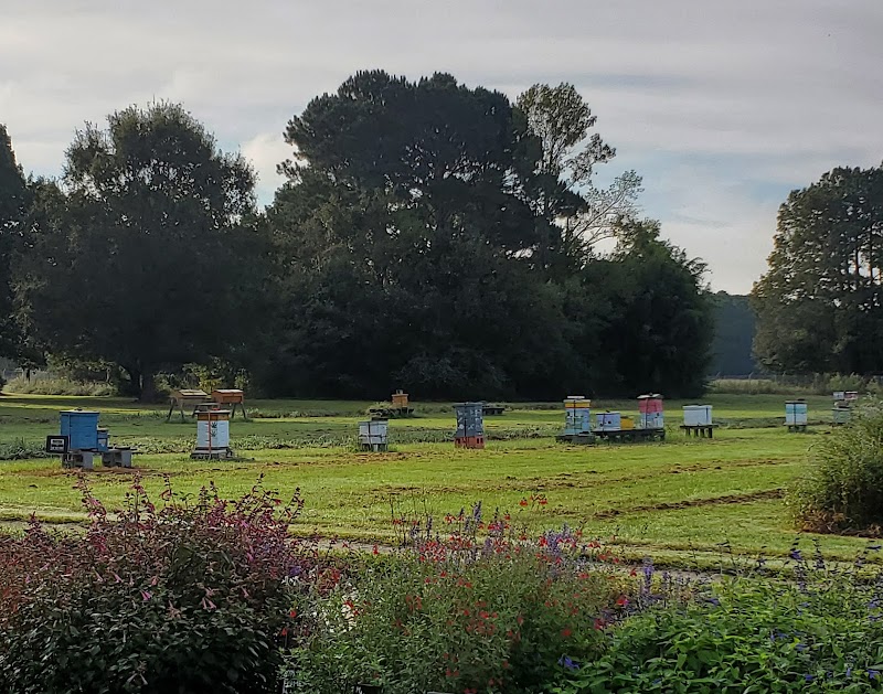 Bee Garden photo