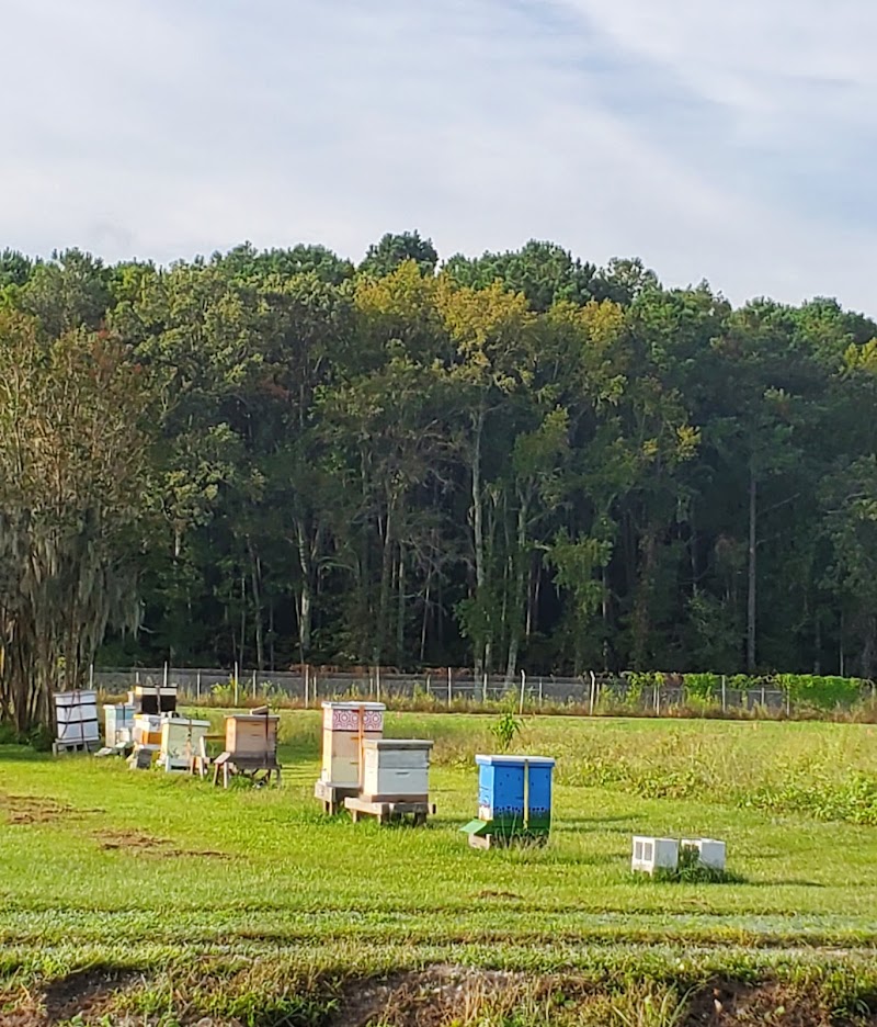 Bee Garden photo