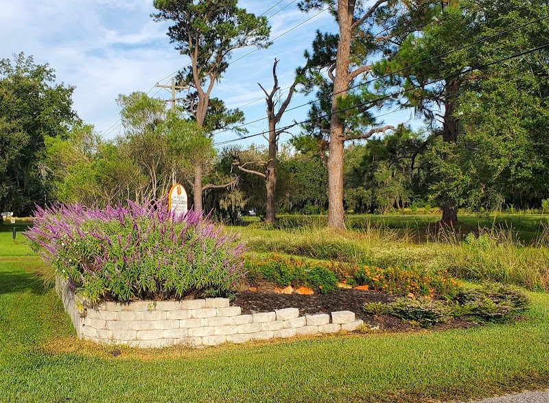 Bee Garden photo