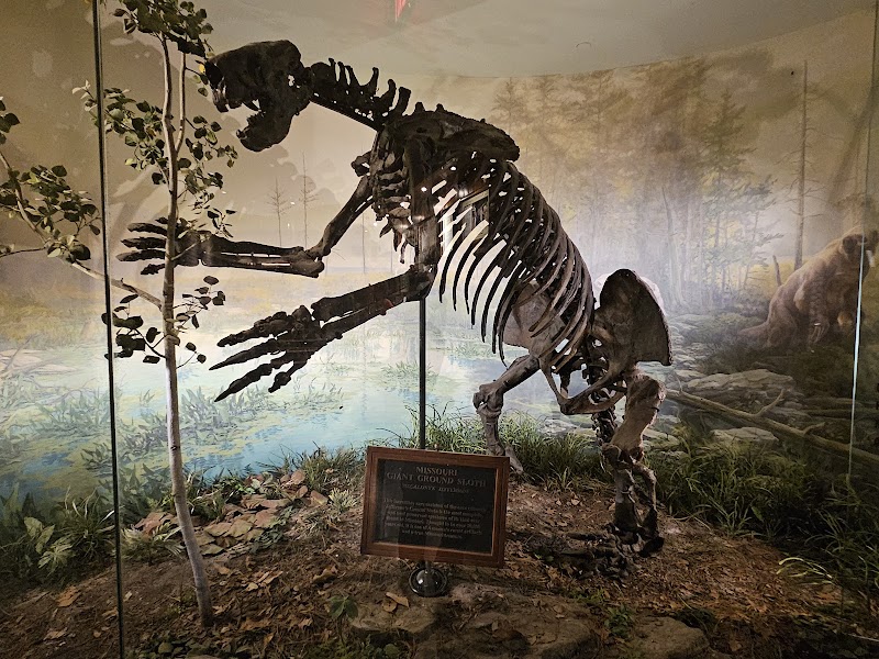 Ancient Ozarks Natural History Museum - Heritage museum in Ridgedale