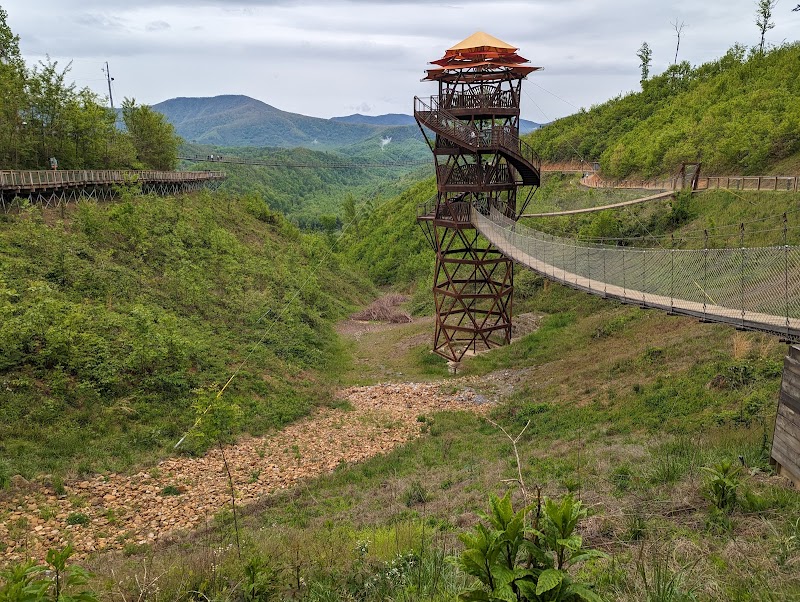 The Tulip Tower - Tourist attraction in Gatlinburg