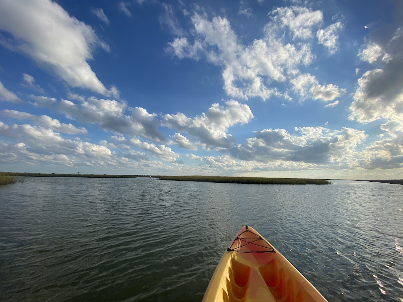 Beach Town Tours (operating at 1524 8 Mile Road)