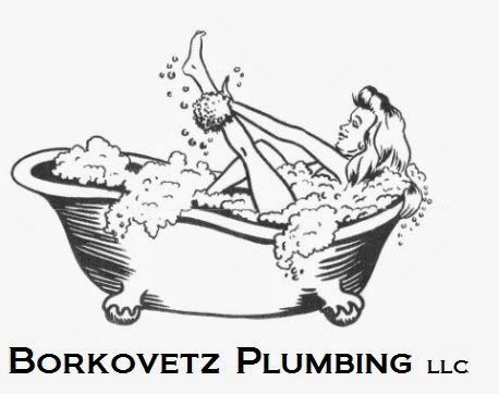 Borkovetz Plumbing LLC - Plumber in Sturgeon Bay
