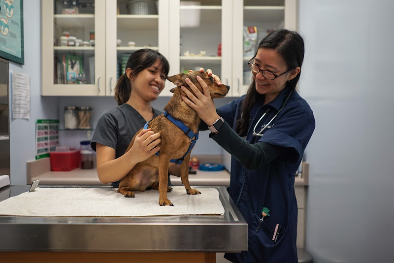 Hawaiʻi Kai Veterinary Clinic