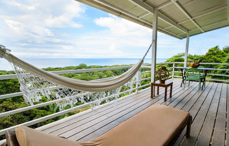 Funky Monkey Surf & Yoga Lodge - Hotel in clasic palms street
