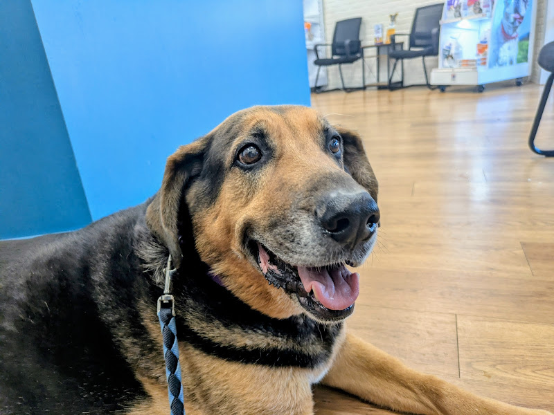 Dunes Veterinary Clinic