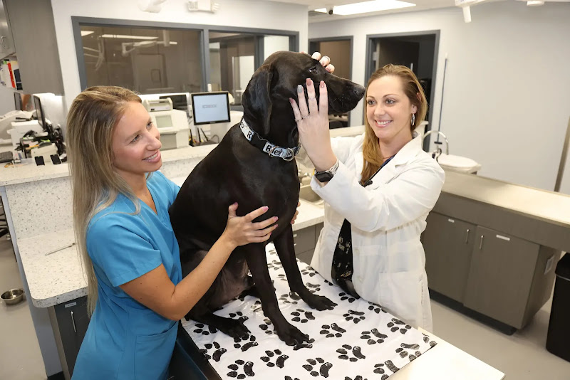South Federal Animal Hospital
