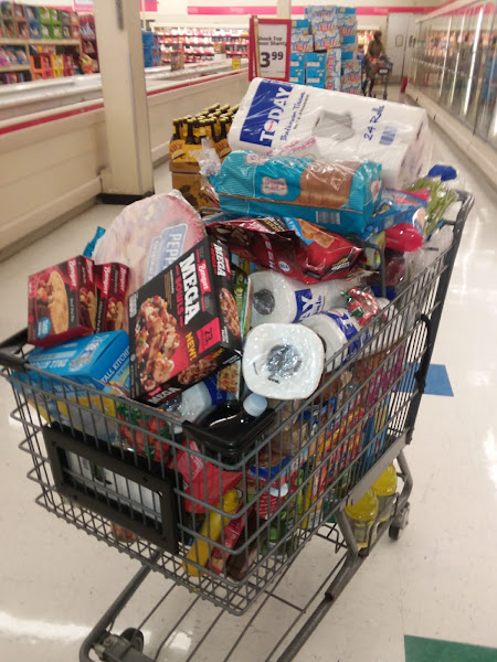 Colonial Village Shopping Center - Shopping mall in Sarasota