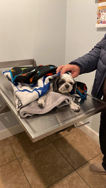 Emergency Veterinary Clinic Destin - Emergency veterinarian service in Destin