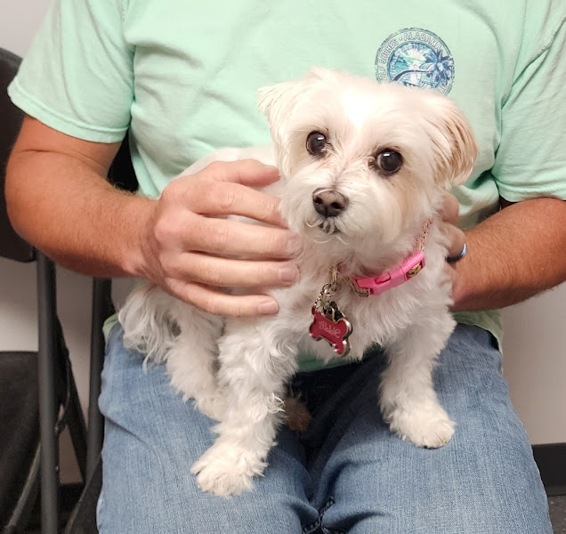 Gulf Coast Veterinary Hospital