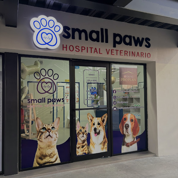 Hospital Veterinario Small Paws - Animal hospital in Local 43