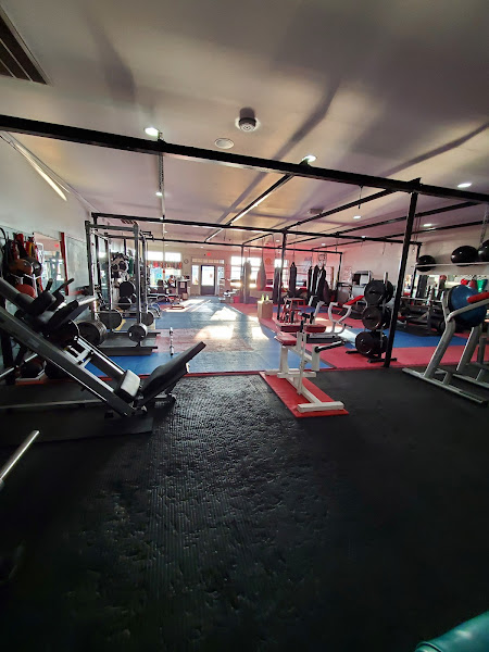 The GYM