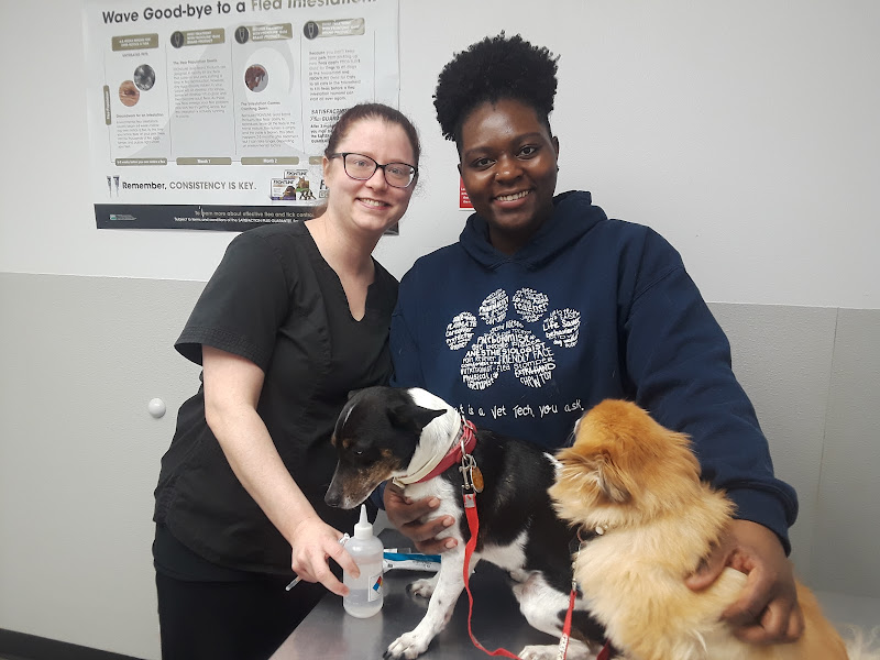 Low Cost Animal Medical Center