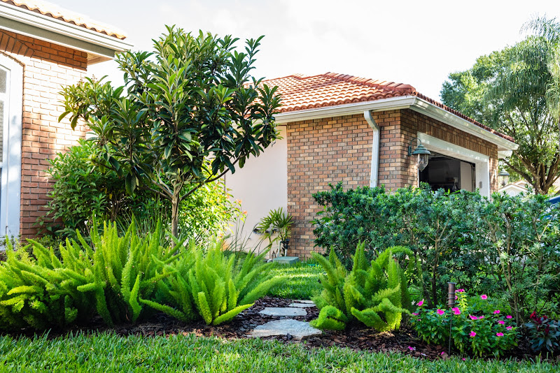 Johns Palms Landscaping