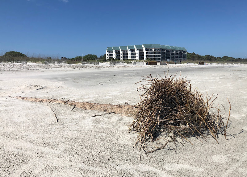 Folly Field Beach Park