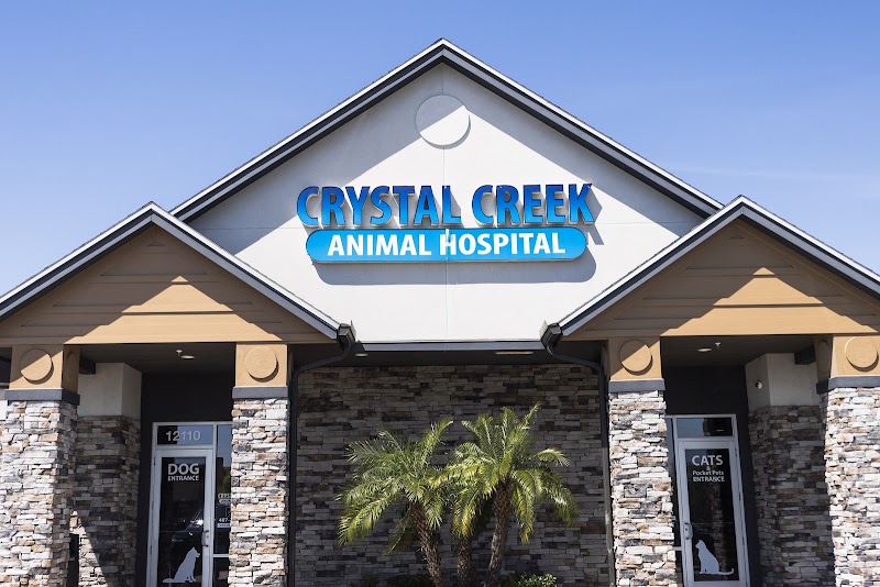 Crystal Creek Animal Hospital - Veterinarian in Orlando
