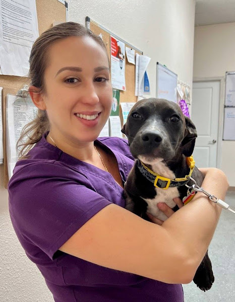 Sunshine Animal Hospital