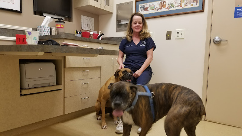 Horizon Animal Hospital