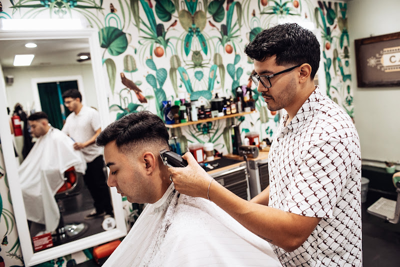 Virtus Barber and Co
