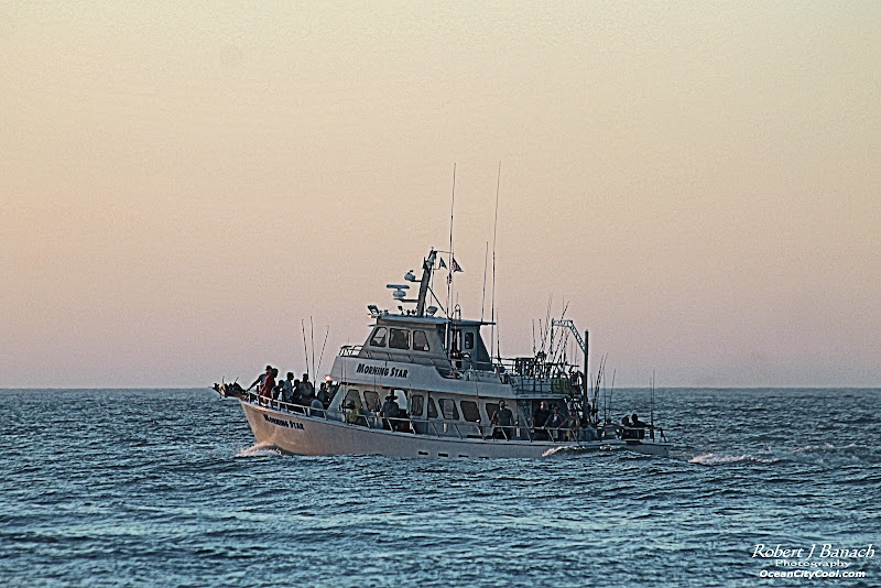 Morning Star Fishing