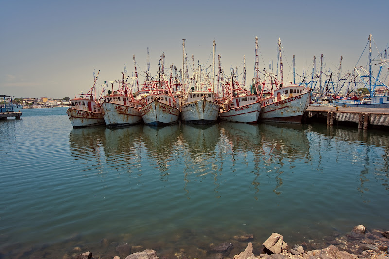 Puerto - Marina in 83554 Puerto Peñasco
