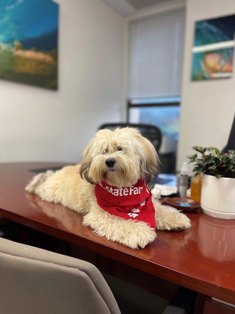 Mia Migita - State Farm Insurance Agent photo